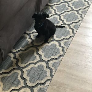 Meet your Posher, Justin